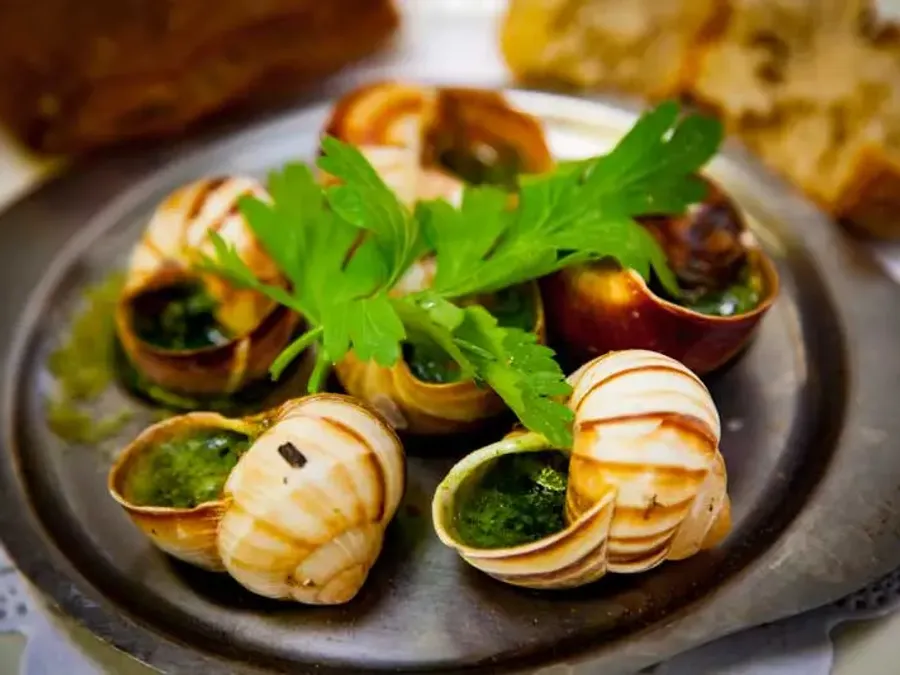 Snails & Garlic Butter in Shells